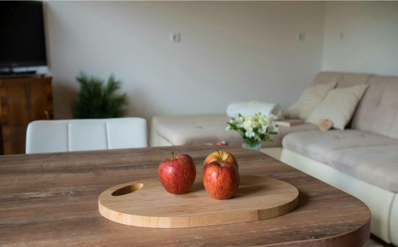 Cosy Apartment Pr Potokar Podlonk Dış mekan fotoğraf